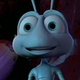 A Bug’s Life